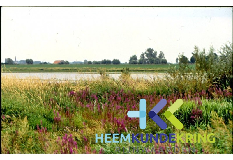 Rijn F00001710
